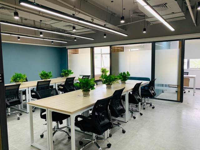 东北胡萝卜水养