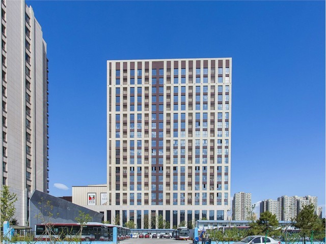 东北胡萝卜水养